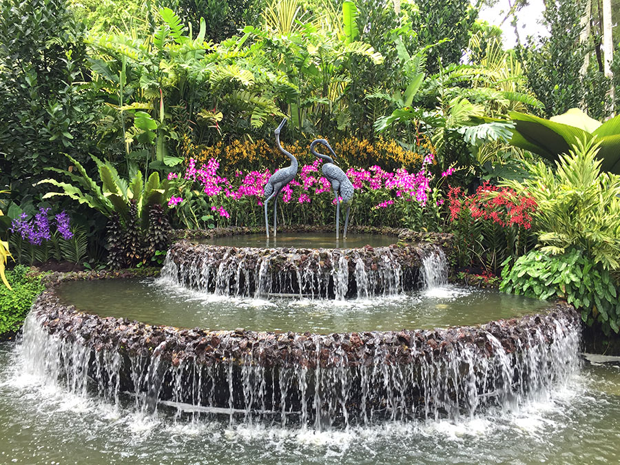 Singapore Botanic Gardens – Orchids